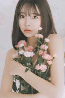王昭君a级艳片bd